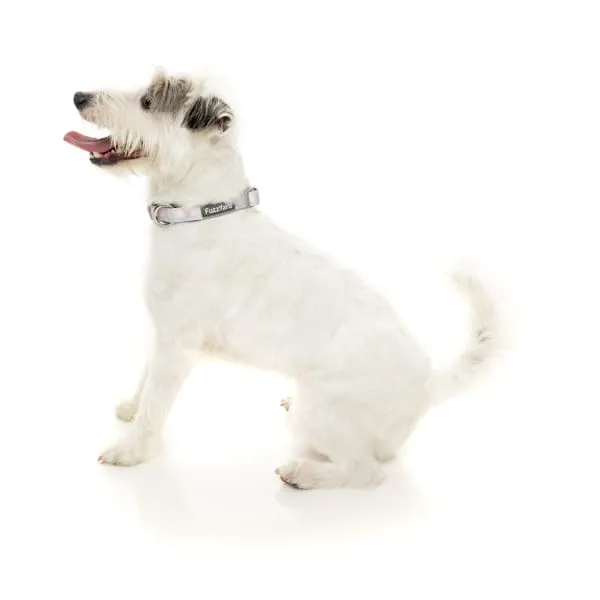 [15% OFF] Fuzzyard Dippin' Dog Collar (3 Sizes)