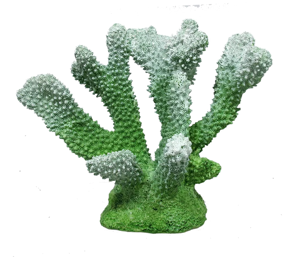 Aquamate - Corals (Small)