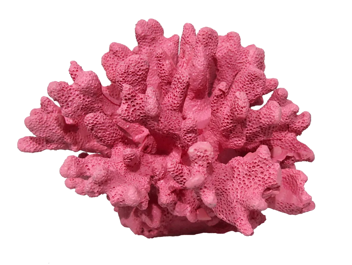 Aquamate - Corals (Small)