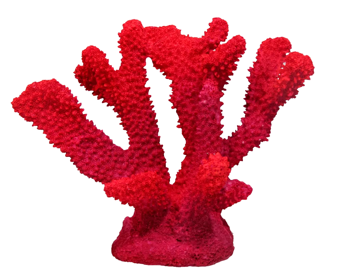 Aquamate - Corals (Small)