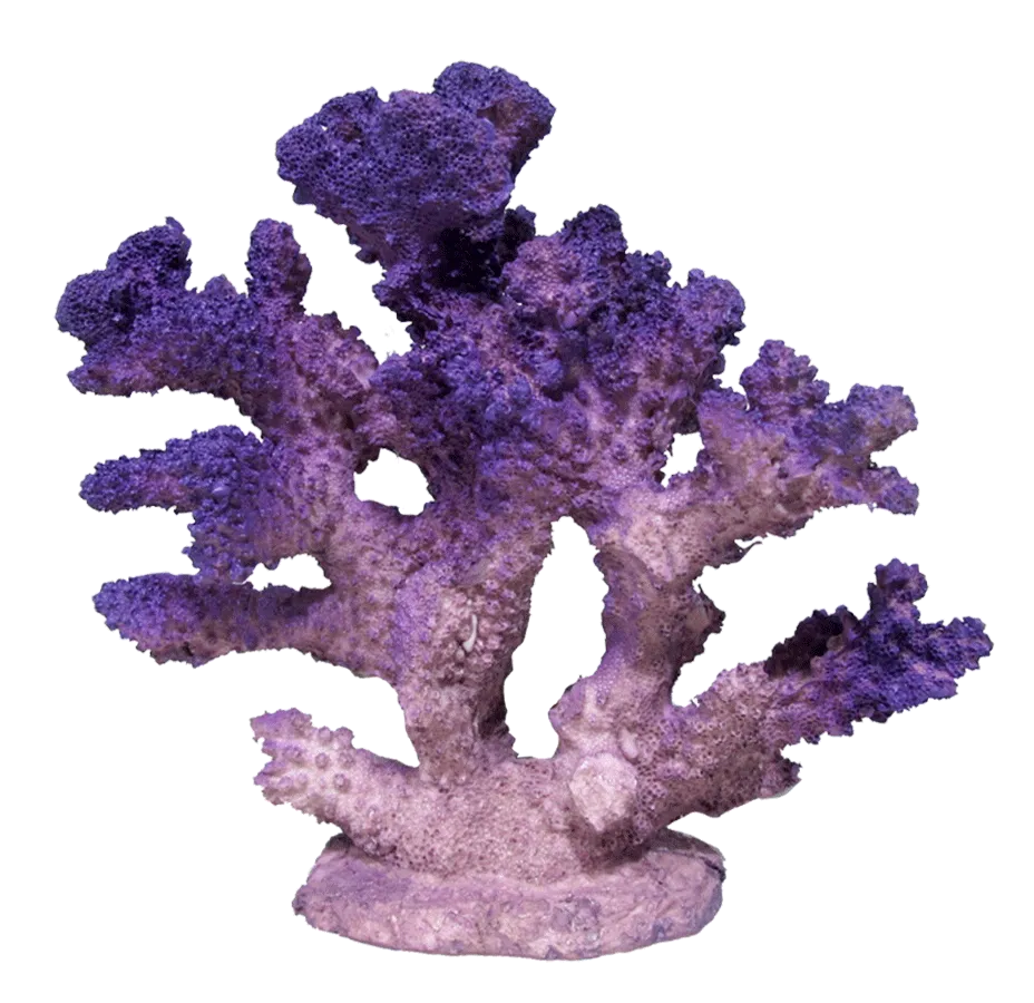 Aquamate - Corals (Small)