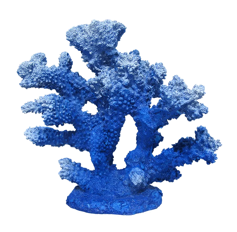 Aquamate - Corals (Small)
