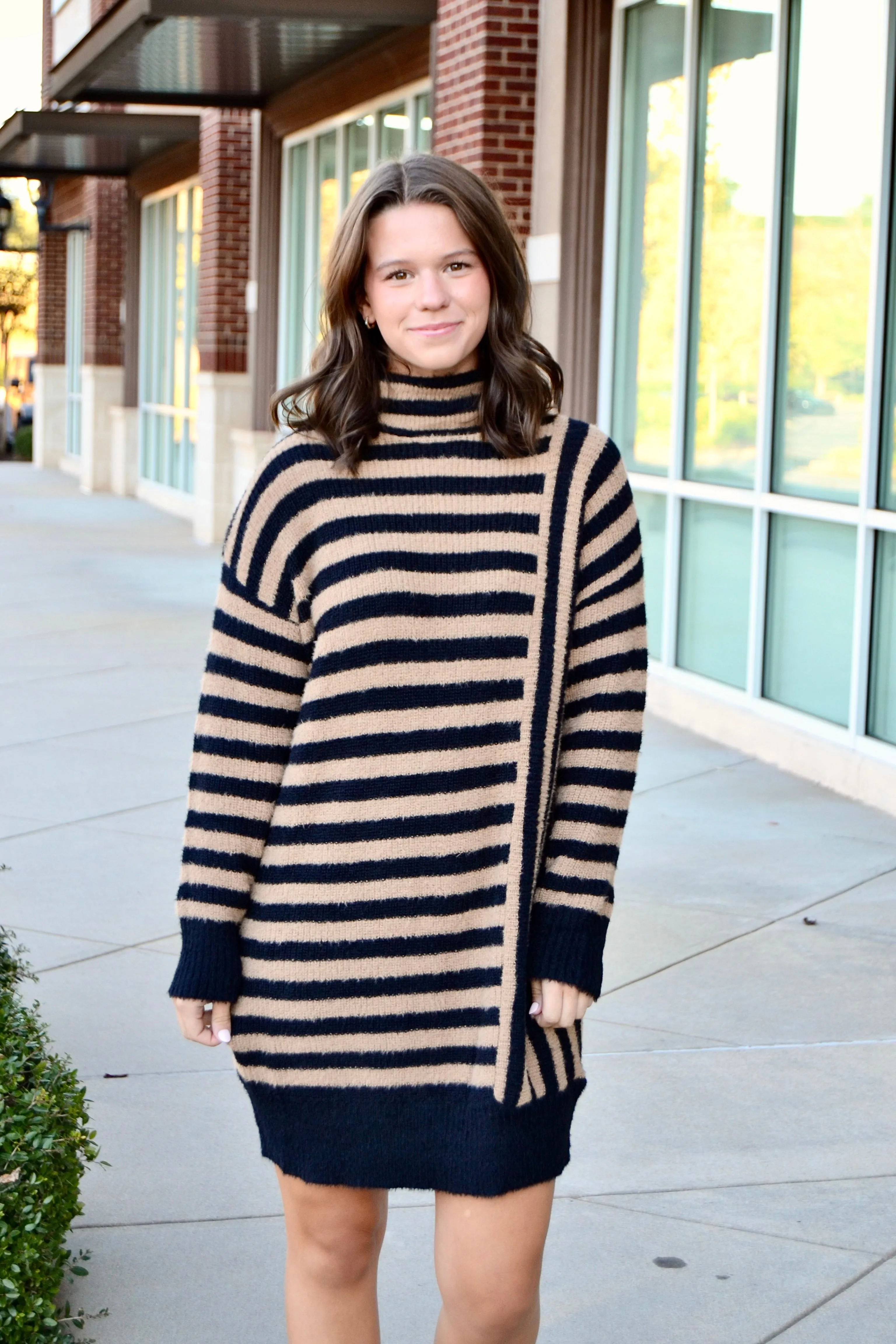 Black & taupe stripe sweater dress