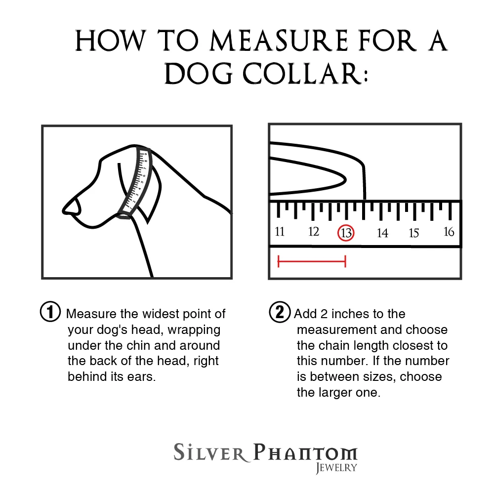 Cuban Chain Dog Collar