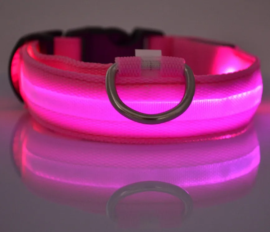 GlowGuard: LED Pet Collar – Night Safety Luminous Collar for Dogs