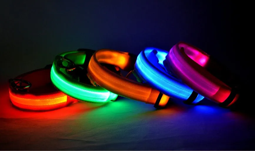 GlowGuard: LED Pet Collar – Night Safety Luminous Collar for Dogs