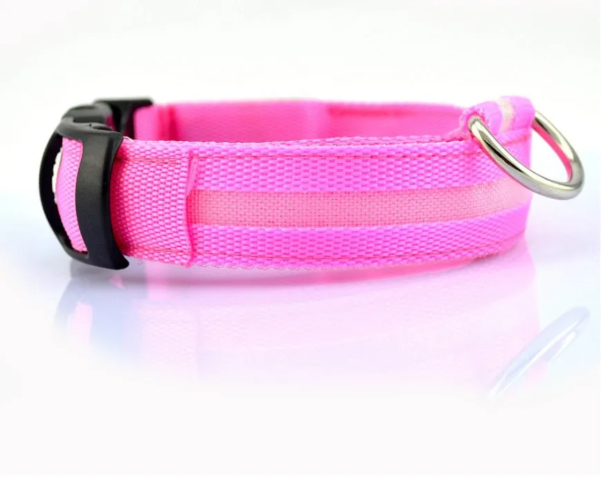 GlowGuard: LED Pet Collar – Night Safety Luminous Collar for Dogs