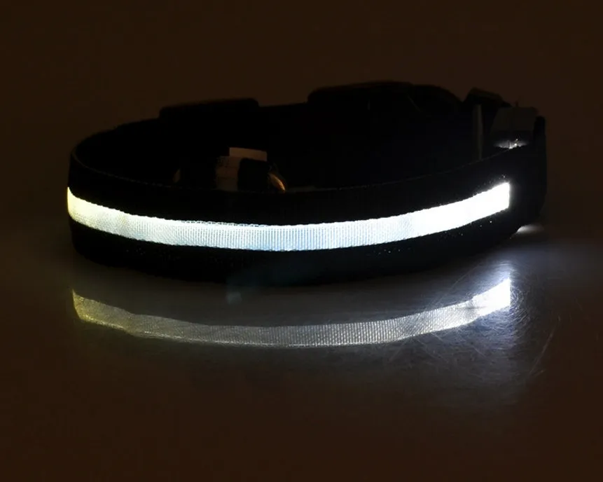 GlowGuard: LED Pet Collar – Night Safety Luminous Collar for Dogs