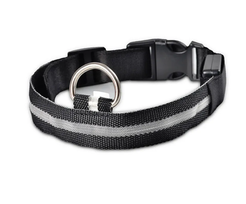 GlowGuard: LED Pet Collar – Night Safety Luminous Collar for Dogs