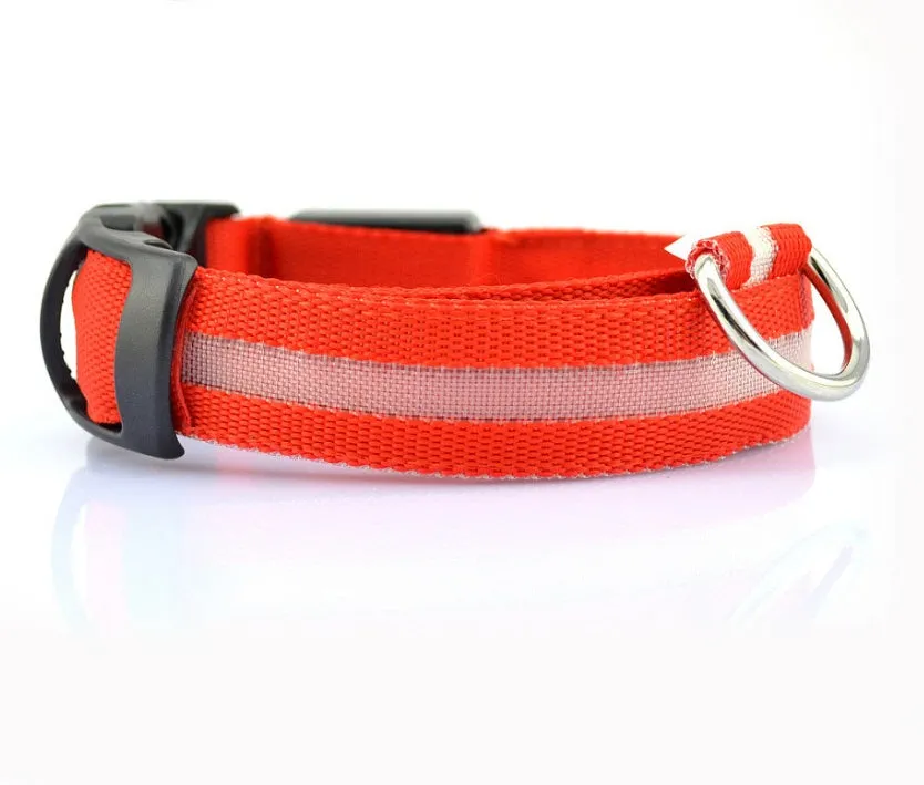 GlowGuard: LED Pet Collar – Night Safety Luminous Collar for Dogs