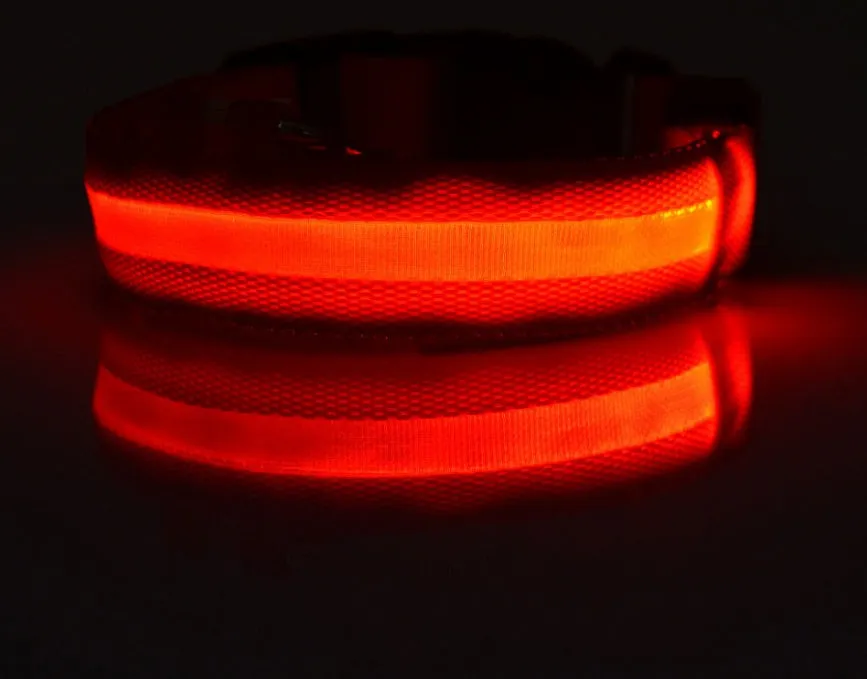 GlowGuard: LED Pet Collar – Night Safety Luminous Collar for Dogs