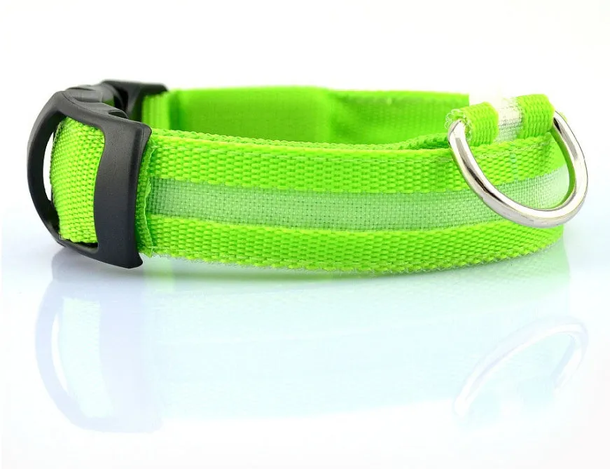 GlowGuard: LED Pet Collar – Night Safety Luminous Collar for Dogs