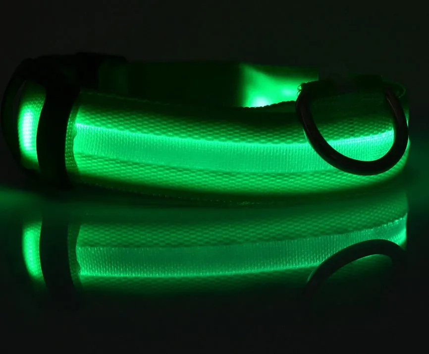 GlowGuard: LED Pet Collar – Night Safety Luminous Collar for Dogs