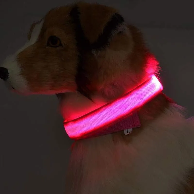GlowGuard: LED Pet Collar – Night Safety Luminous Collar for Dogs