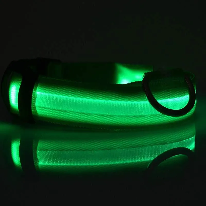 GlowGuard: LED Pet Collar – Night Safety Luminous Collar for Dogs