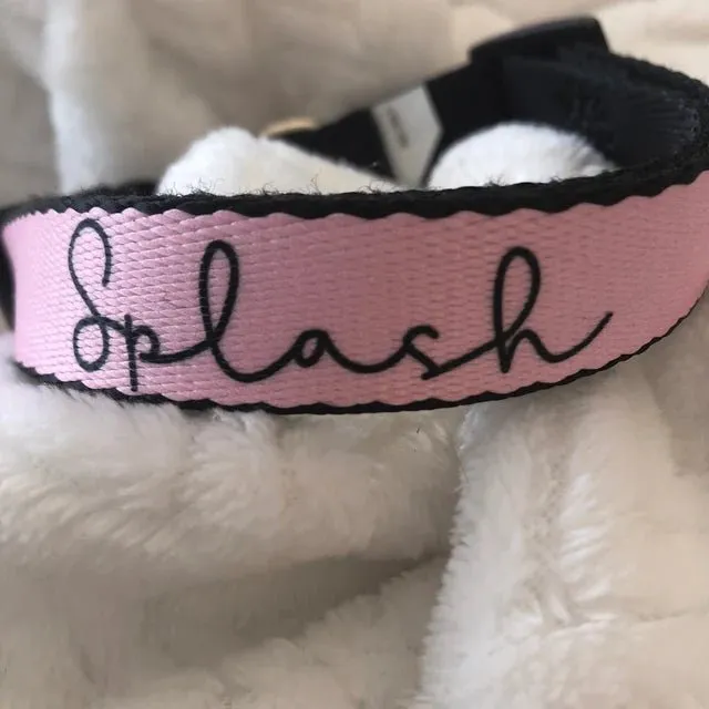 Personalized Dog Collar And Custom Tag
