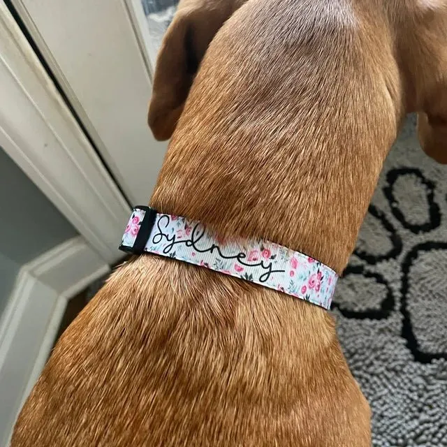 Personalized Dog Collar And Custom Tag