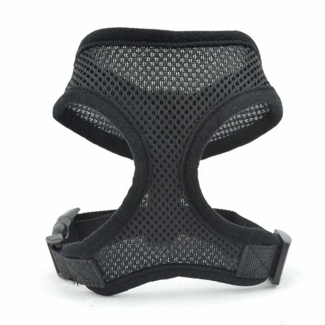 Pet Harness and Leash Vest