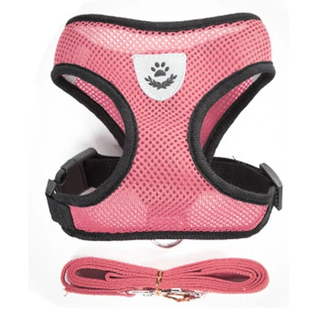 Pet Harness and Leash Vest
