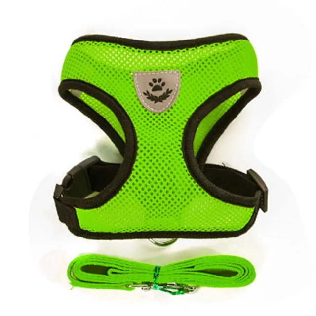 Pet Harness and Leash Vest