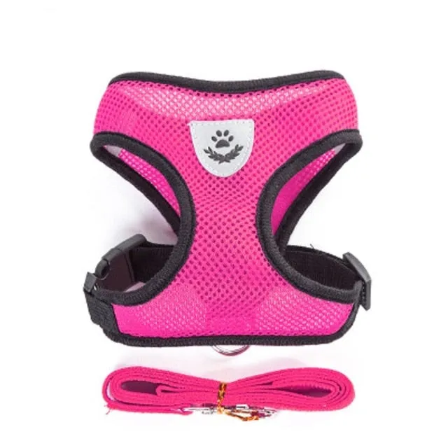 Pet Harness and Leash Vest