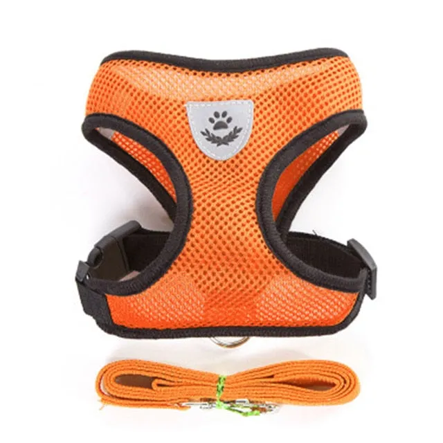 Pet Harness and Leash Vest