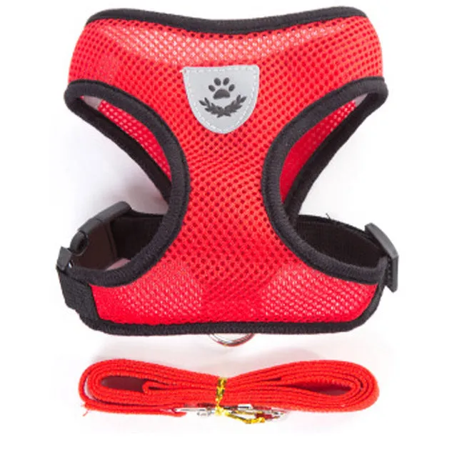 Pet Harness and Leash Vest