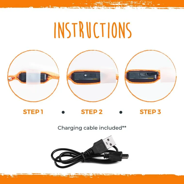 Safety LED Rechargeable Dog Collar