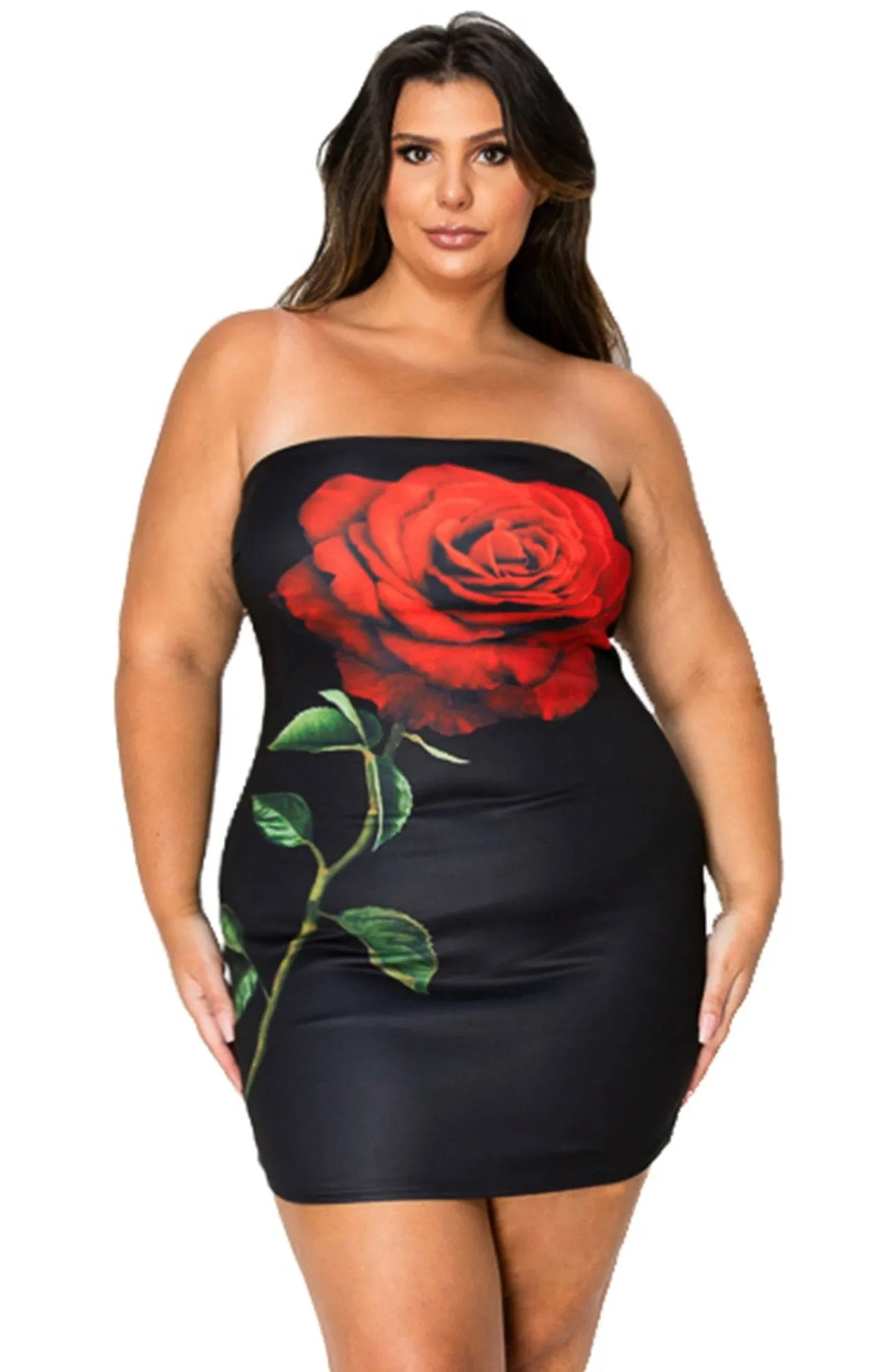 Tube Bodycon Mini Dress With Floral Print Front